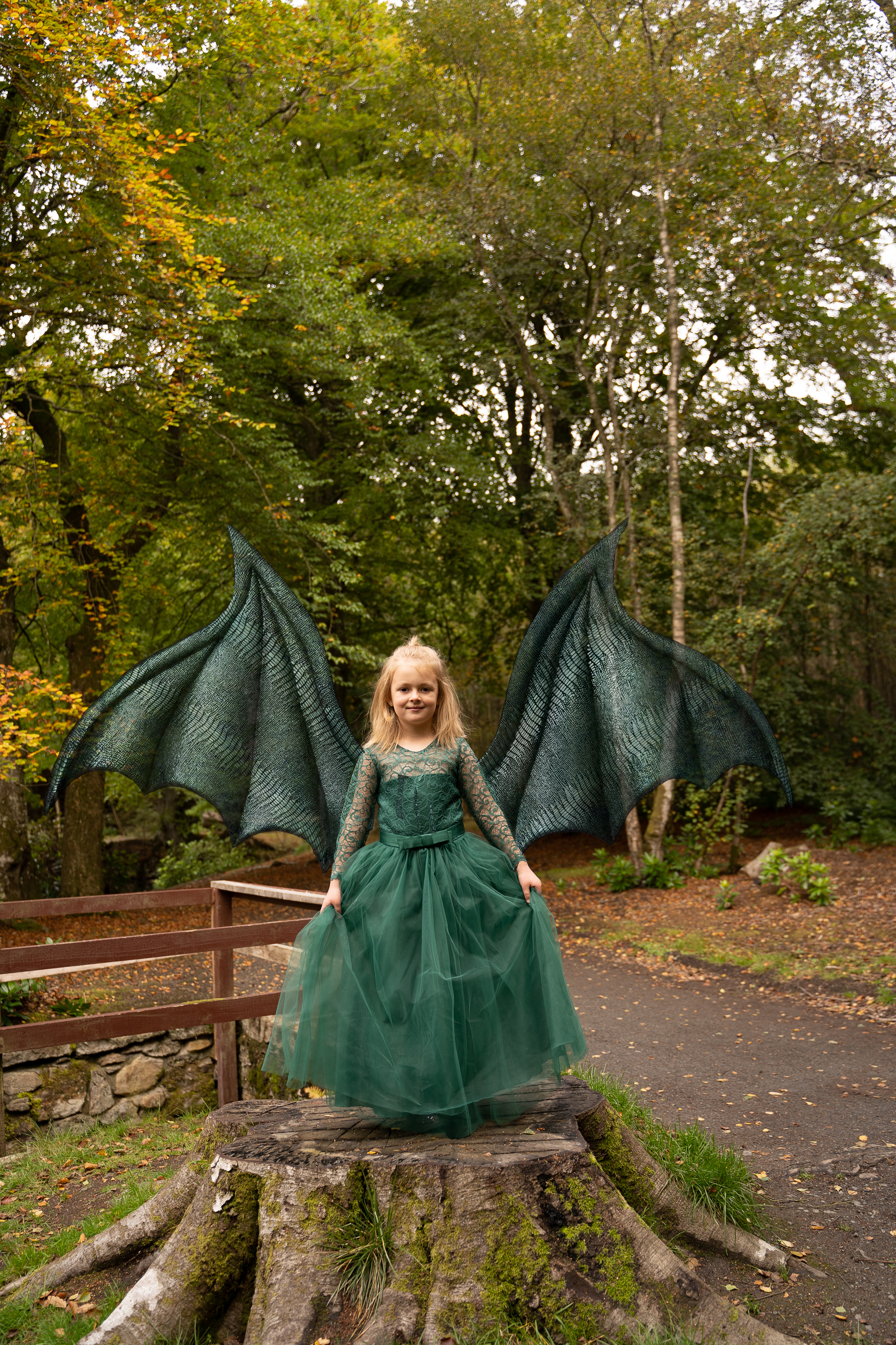 winged fairy